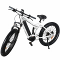 2019 Hot-Sell 48V 350W Middle Drive Motor Fat Tyer Electric Bike